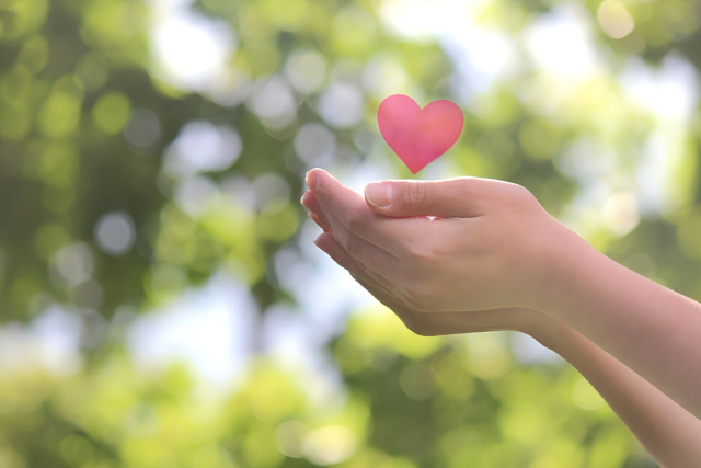 福祉用具の安全確認とリスクマネジメント